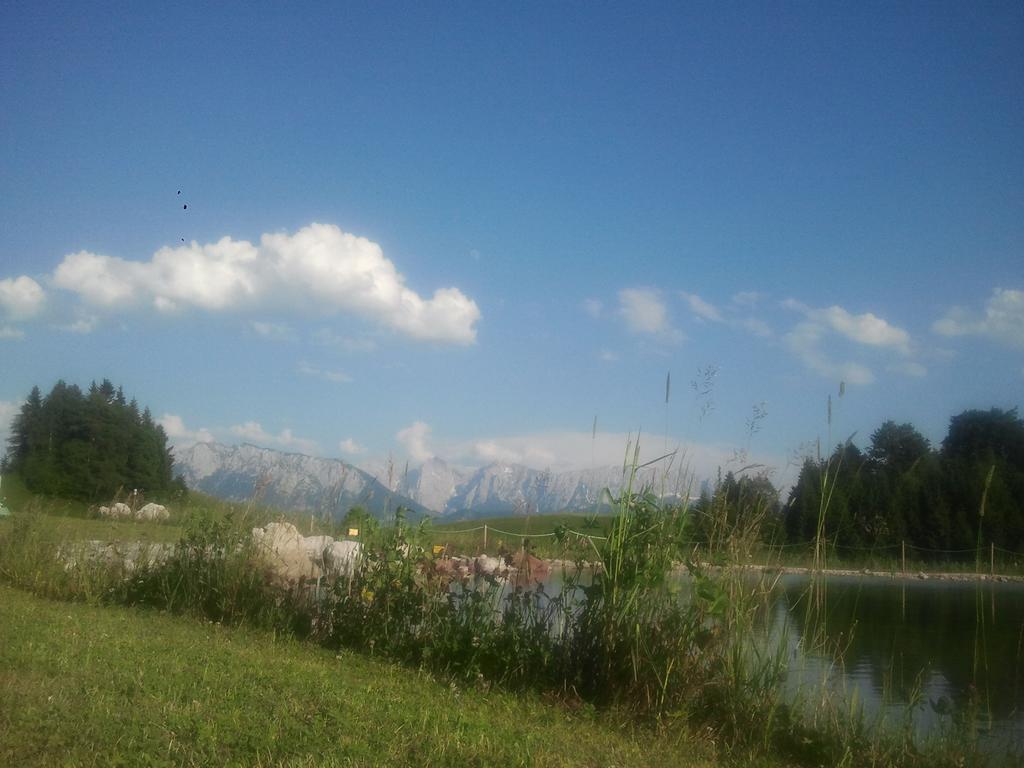 Berggasthof Bichlersee اوبرودورف المظهر الخارجي الصورة