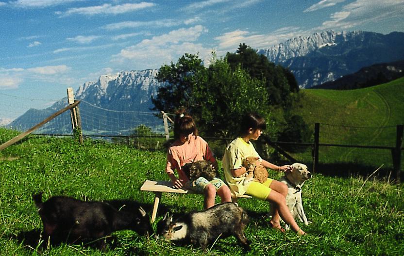 Berggasthof Bichlersee اوبرودورف المظهر الخارجي الصورة